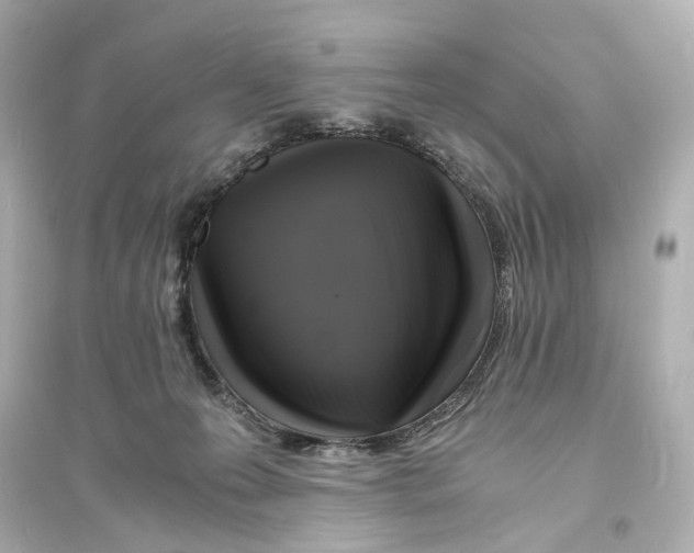 X0000093730223200711131046