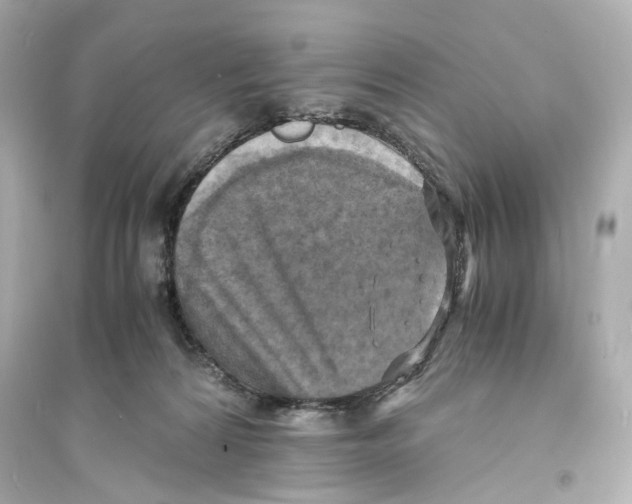 X0000093730224200711131046