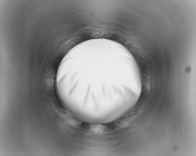X0000093730226200711131046