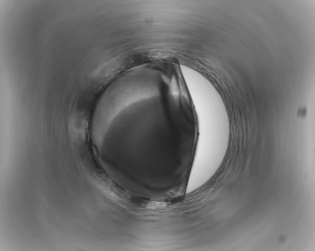 X0000093730227200711131046