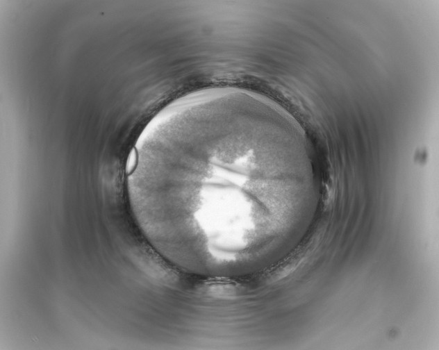 X0000093730228200711131046