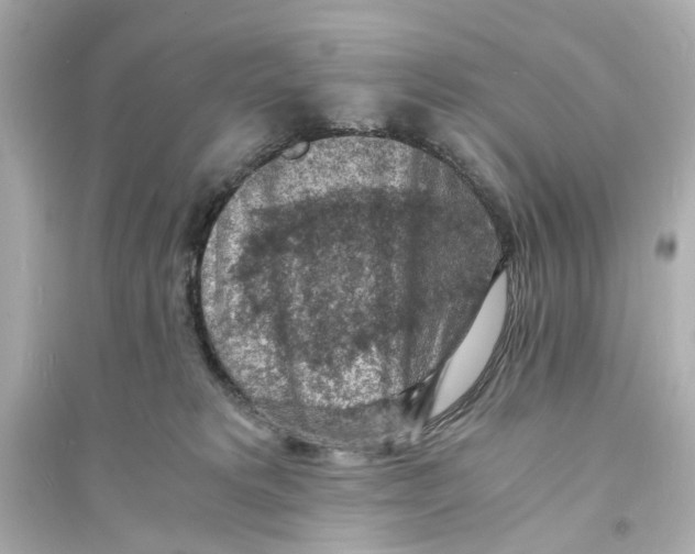 X0000093730229200711131046