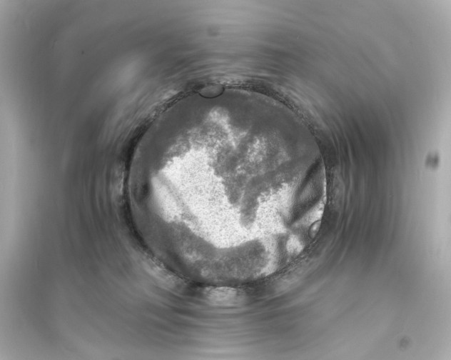X0000093730230200711131046