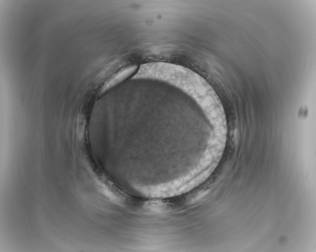 X0000093730231200711131046