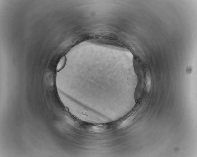 X0000093730232200711131046