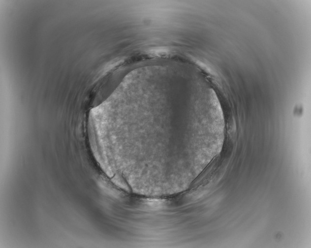 X0000093730233200711131046