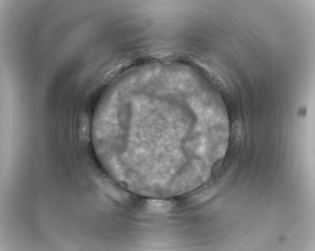X0000093730234200711131046