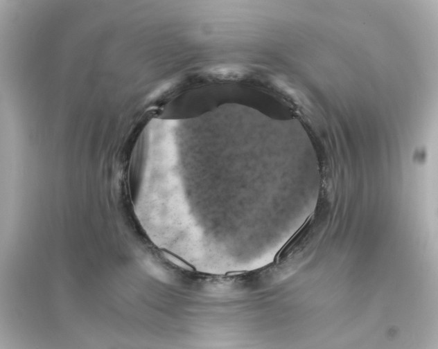 X0000093730235200711131045
