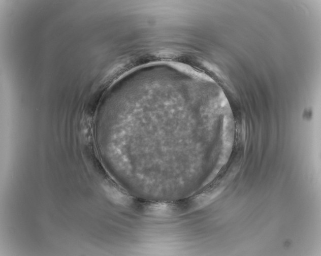 X0000093730237200711131045