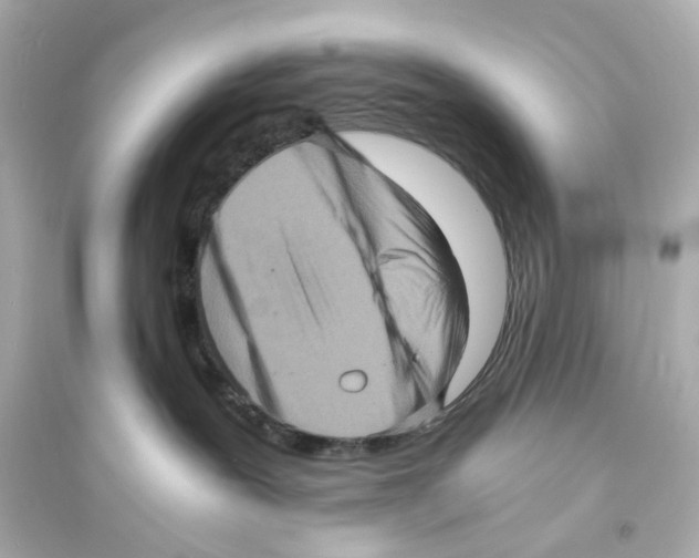 X0000093730239200711131045