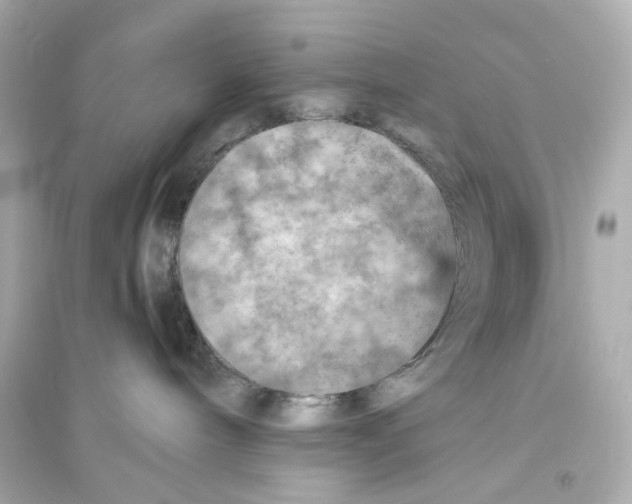 X0000093730240200711131045