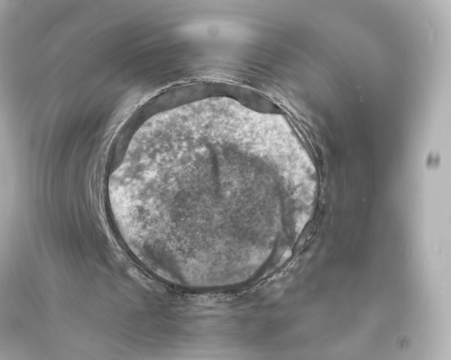 X0000093730241200711131045