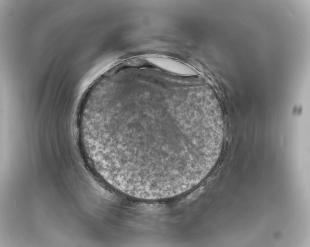 X0000093730245200711131045