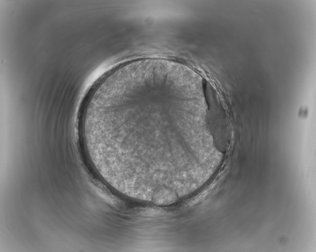 X0000093730246200711131045