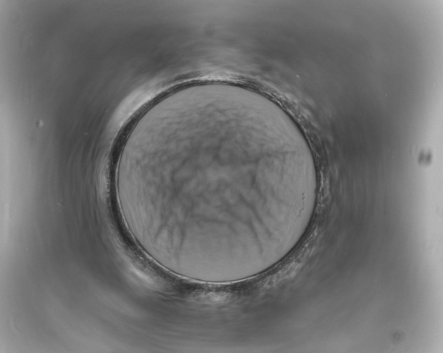 X0000093730247200711131045
