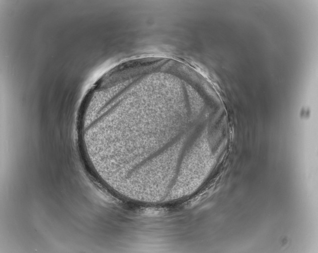X0000093730248200711131045
