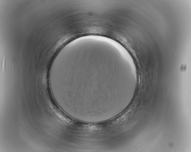 X0000093730249200711131045