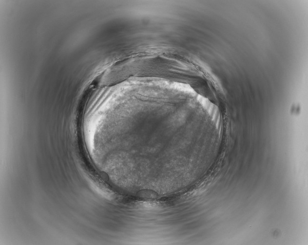 X0000093730250200711131045