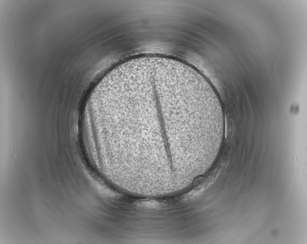 X0000093730253200711131045