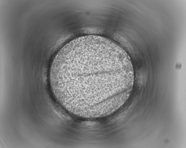 X0000093730255200711131045