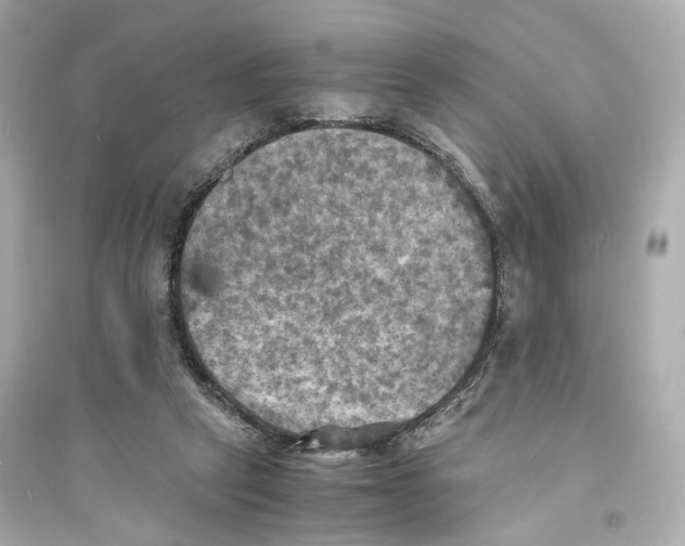 X0000093730257200711131045