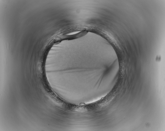 X0000093730258200711131045