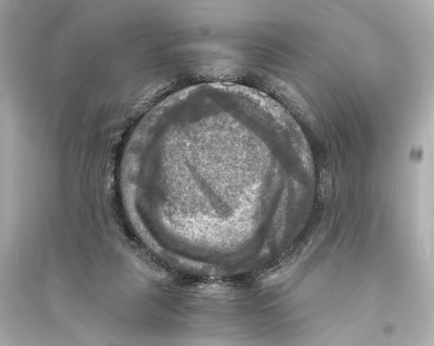 X0000093730259200711131045
