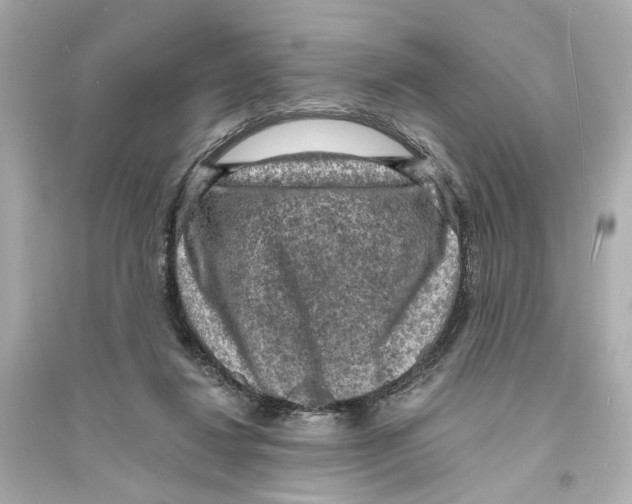 X0000093730260200711131045