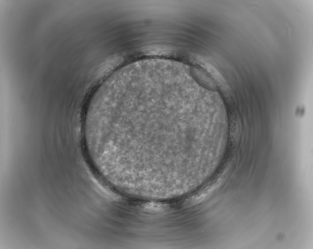 X0000093730261200711131045