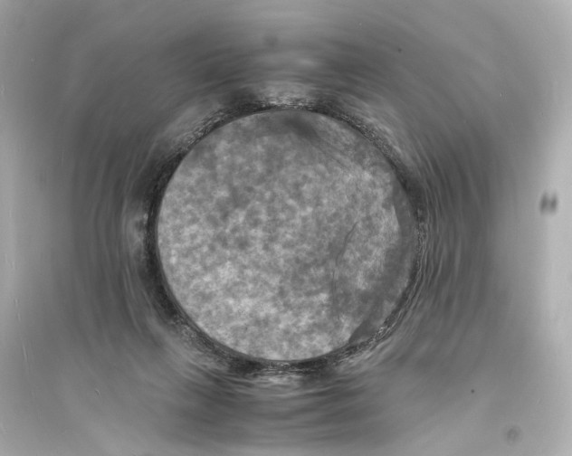 X0000093730263200711131045