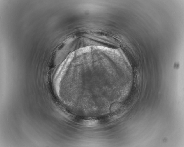 X0000093730266200711131045