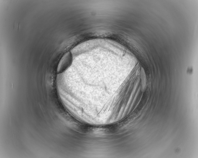 X0000093730268200711131045