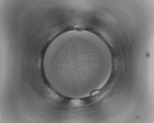 X0000093730269200711131045