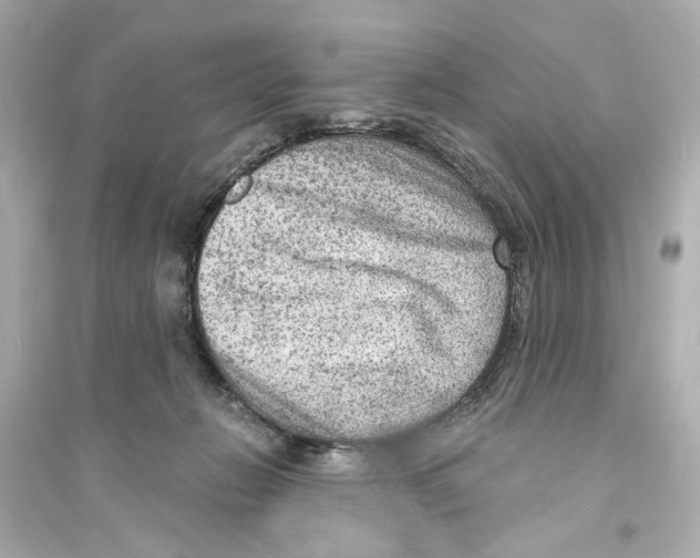 X0000093730270200711131045