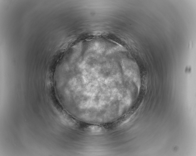 X0000093730272200711131045