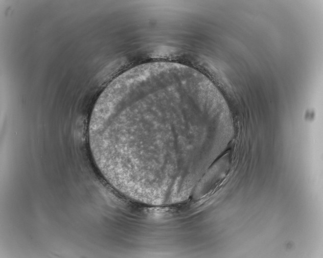 X0000093730273200711131045