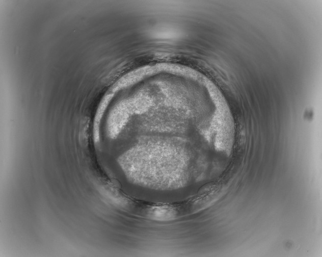 X0000093730275200711131045