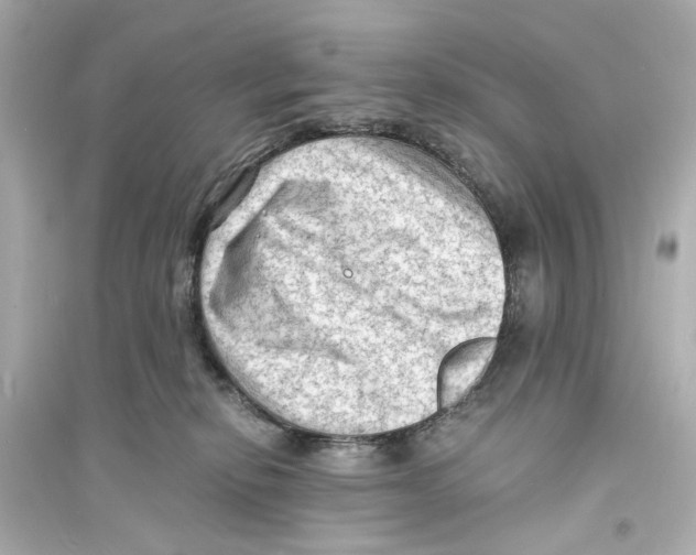 X0000093730278200711131045