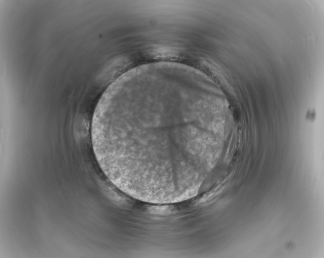 X0000093730281200711131045