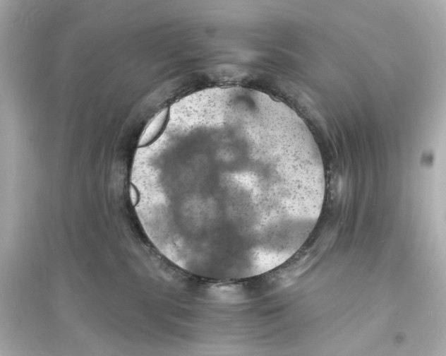 X0000093730283200711131045