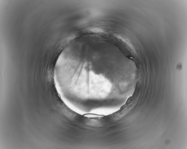 X0000093730285200711131045