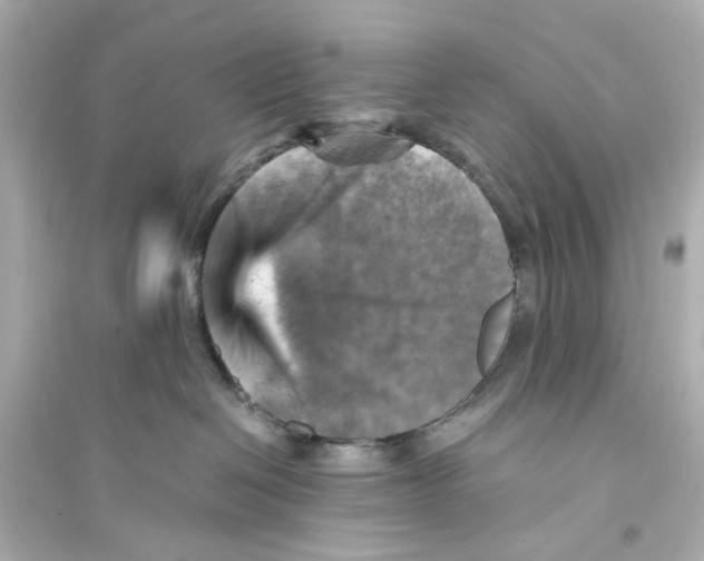X0000093730286200711131045