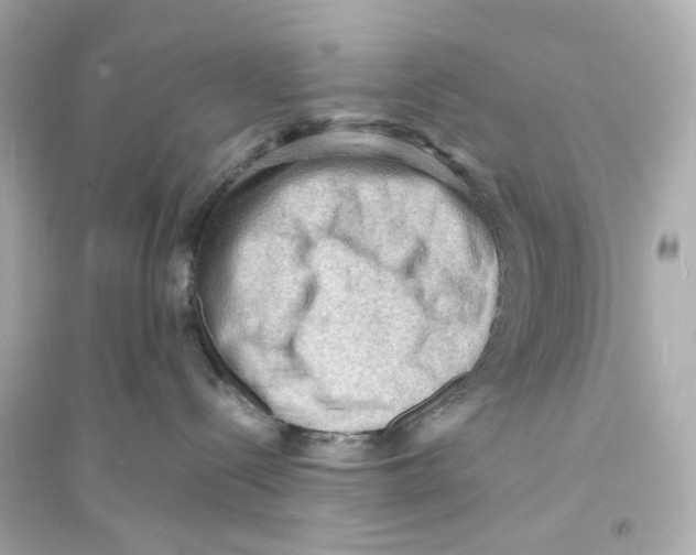 X0000093730288200711131045