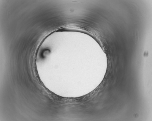 X0000093730289200711131045