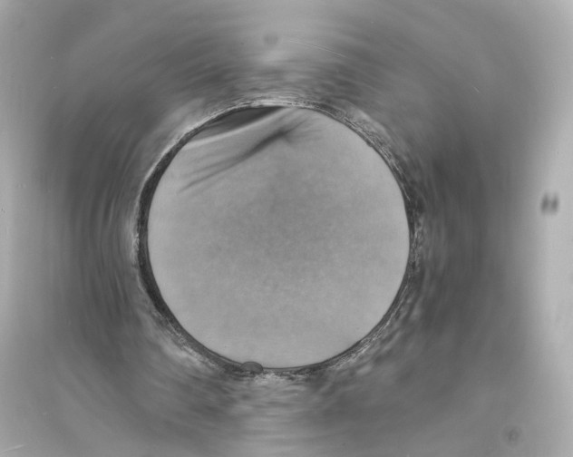 X0000093730290200711131045