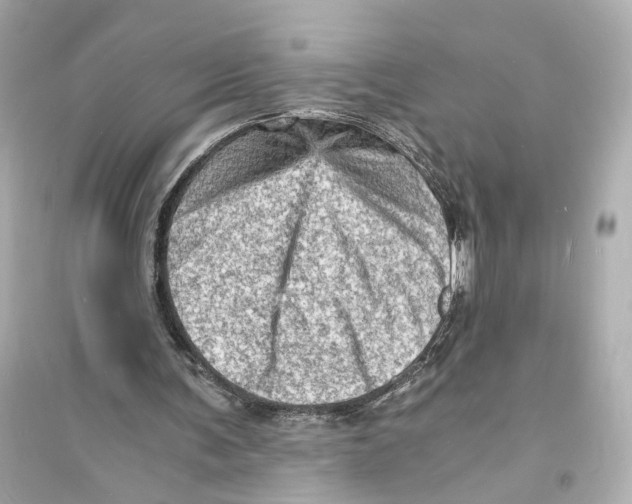 X0000093730291200711131045