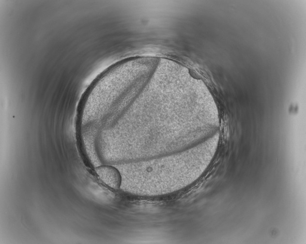 X0000093730292200711131045
