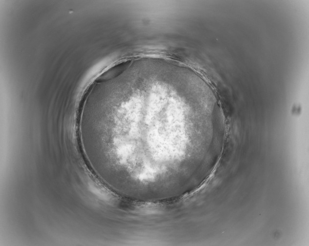 X0000093730293200711131045
