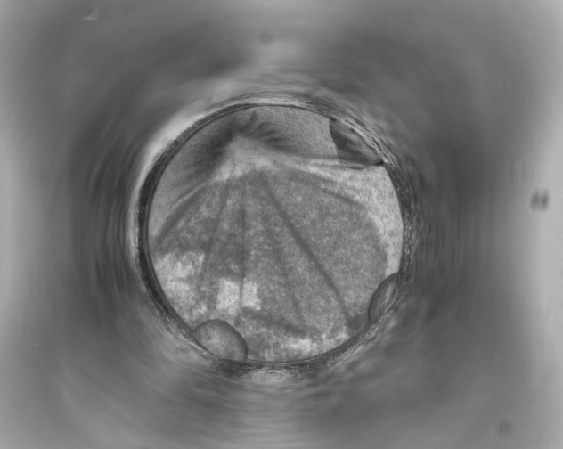 X0000093730294200711131045
