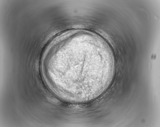 X0000093730297200711131044